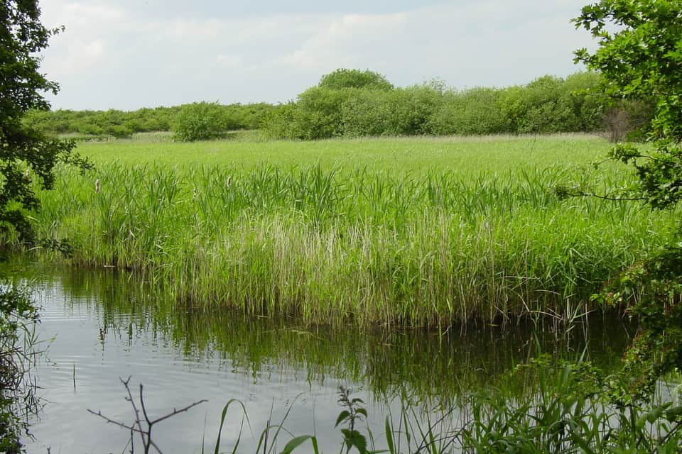 Grantham fly-tipping fines fund wildlife conservation — Grantham news photo